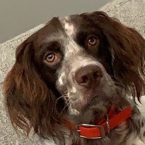 Meet your Posher, Matthew